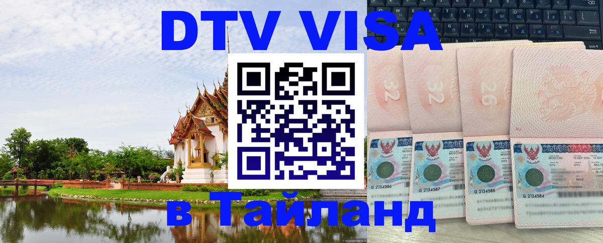 Оформление DTV визы под ключ: стоимость и тарифы, только загранпаспорт - Брянск 